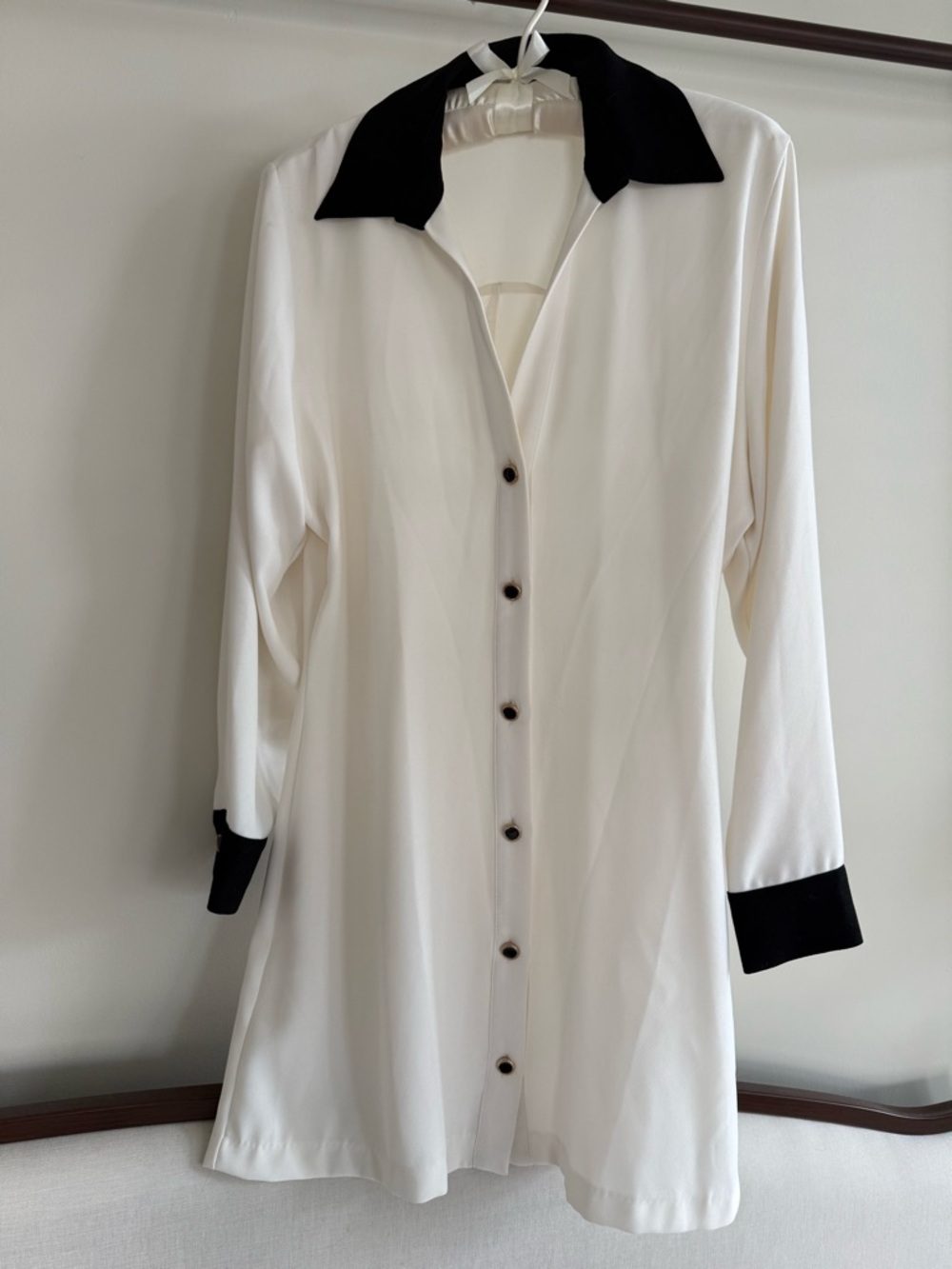 Zara Chic Minimalist Button-Down Mini Dress- NWOT